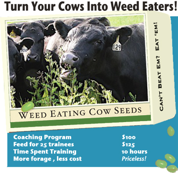 Weed Eating Cow Seeds