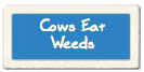 Cows Eat Weeds You are here