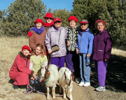 red hat ladies visit Settler Valley Ranch goats at work