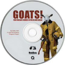 Goat CD picture