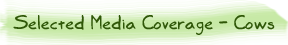 Selected Media Coverage - Cows