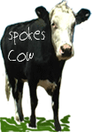 spokes cow