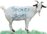 spokes goat