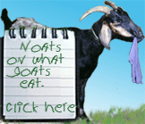 Notes on What goats eat